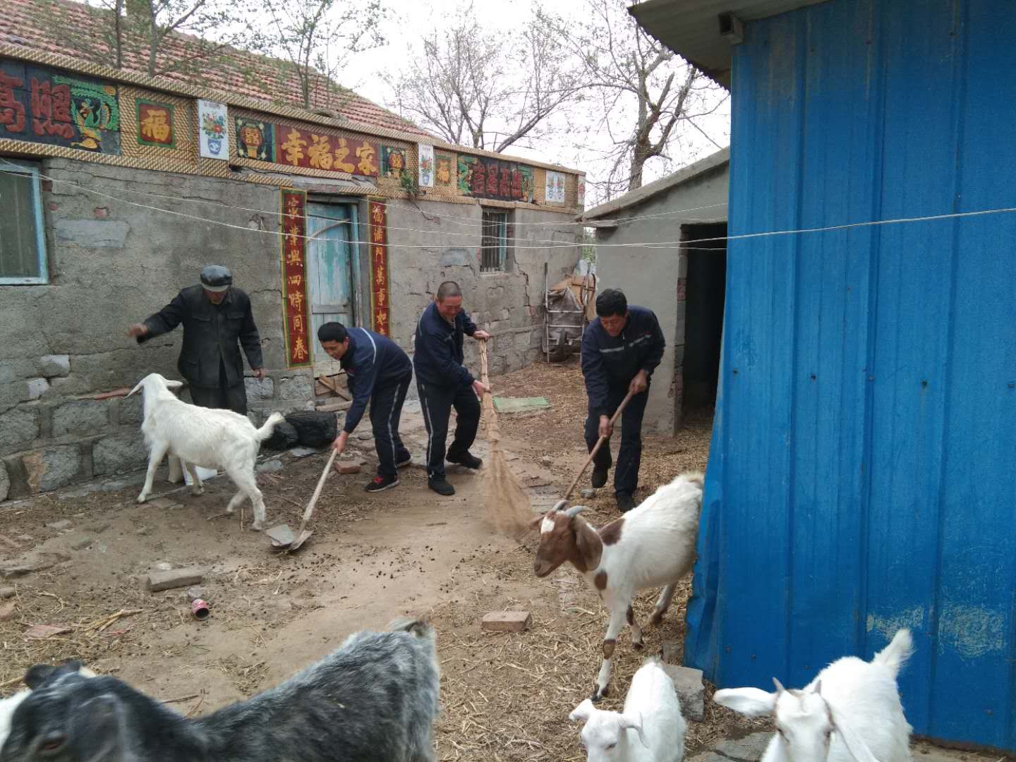 微信图片_2019051417084530.jpg